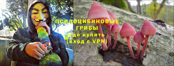 метадон Вяземский