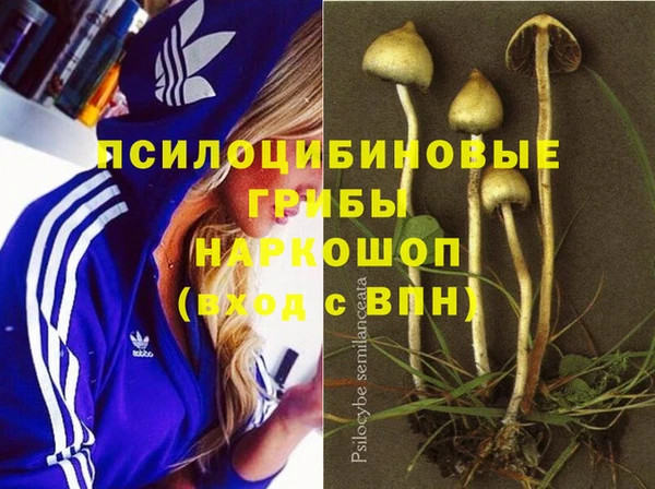 мдпв Вязники