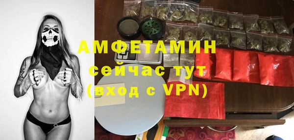 метадон Вяземский