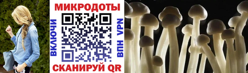 Псилоцибиновые грибы MAGIC MUSHROOMS  Купить где  Красноуральск 